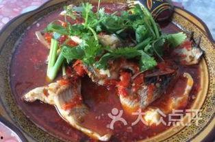 罗非鱼邻居爆料视频,揭秘水下生活点滴 第1张 罗非鱼邻居爆料视频,揭秘水下生活点滴 第1张